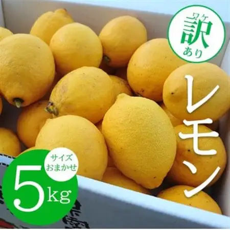 【ノーワックス】 訳あり 国産 紀州 レモン 約5kg (サイズおまかせ)【配送不可地域：離島】【1484258】