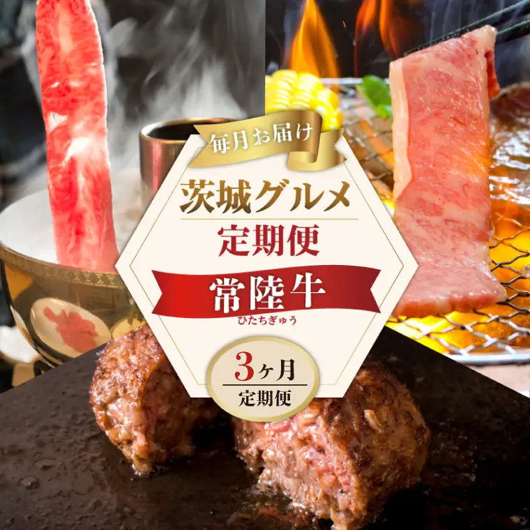 3ヶ月 定期便 常陸牛 Bコース 肉のイイジマ(DU-104)