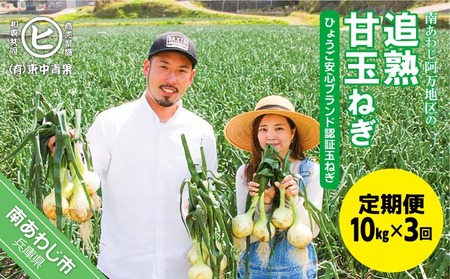 【3ヶ月定期便】「追熟甘玉ねぎ」10kg
