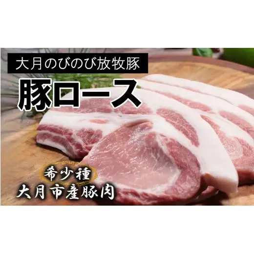 【希少豚】大月のびのび放牧豚【カツ・ステーキ用ロース】600g以上 (約150g×4)【1087-008】