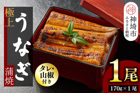 【職人手焼き】国産特大うなぎ蒲焼1尾(約170g前後)(H097112)