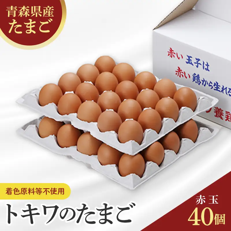 トキワのたまご 赤玉 40個入 卵 玉子 タマゴ F41-0071