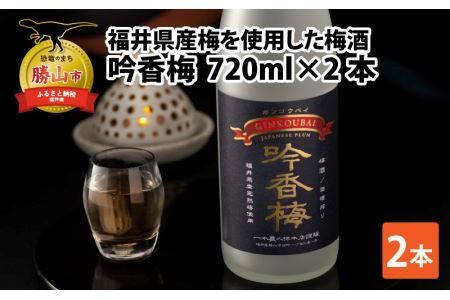 福井県産梅を使用した梅酒　吟香梅(720ml×2本) [A-008063]
