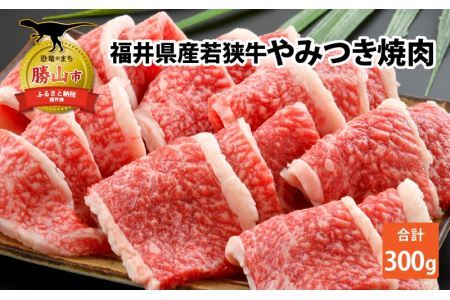 福井県内産若狭牛　やみつき焼肉(300g) [A-012002]