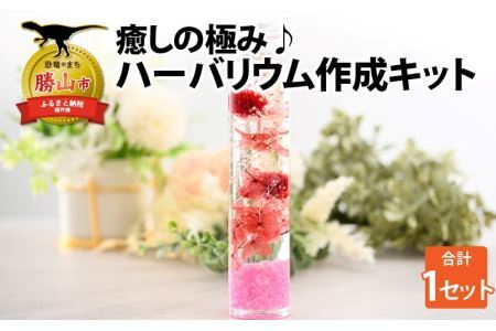 癒しの極み♪ハーバリウム作成キット [A-037004]