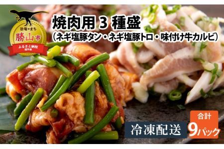 焼肉用3種盛（ネギ塩豚トロ 400g・ネギ塩豚タン 400g・味付け牛カルビ 350g）×3セット [B-037002]