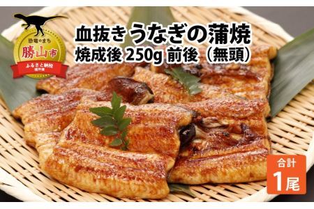 血抜きうなぎの蒲焼（無頭） 焼成後250g前後×1尾  国産 [A-044002]