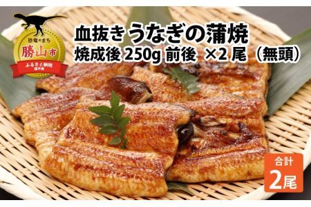 血抜きうなぎの蒲焼（無頭）焼成後250g前後×2尾  国産 [B-044001]