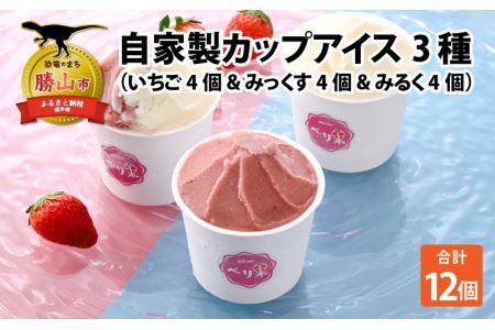 自家製カップアイス3種セット（いちご 4個 & みっくす 4個 & みるく 4個） [A-045003]