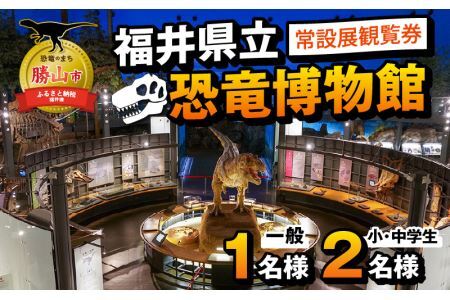 福井県立恐竜博物館 常設展観覧券 (一般 1名様と小・中学生 2名様) [A-048010]