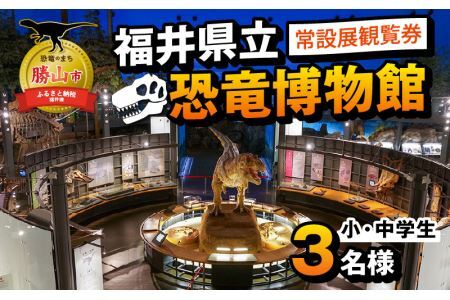 福井県立恐竜博物館 常設展観覧券 (小・中学生 3名様) [A-048012]