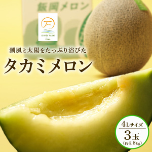 【先行予約】 タカミメロン 4L×3玉セット 青肉 高級メロン／貴味メロン