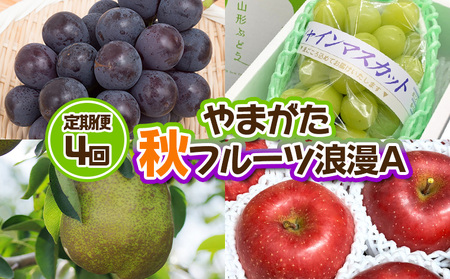 【定期便4回】やまがた 秋フルーツ浪漫A【令和8年産先行予約】FS24-533 くだもの 果物 フルーツ 山形 山形県 山形市 2026年産