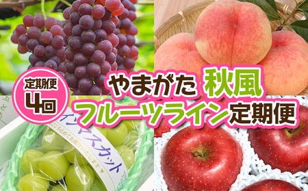 【定期便4回】やまがた 秋風フルーツライン定期便【令和8年産先行予約】FU23-878 くだもの 果物 フルーツ 山形 山形県 山形市 2026年産