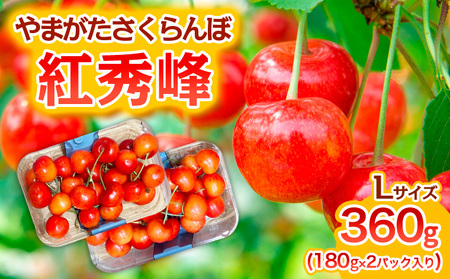 やまがた さくらんぼ 紅秀峰 Lサイズ 360g(180g×2パック入り) 1箱【令和8年産先行予約】FS25-575