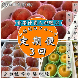 【定期便3回】青果仲買人が選ぶ！山形旬のフルーツ3選！[白桃・幸水梨・秋姫]【令和8年産先行予約】FS24-596 くだもの 果物 フルーツ 山形 山形県 山形市 2026年産
