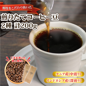 コーヒー豆 2種 計200g インドネシア ケニア  ＼ コーヒー ／