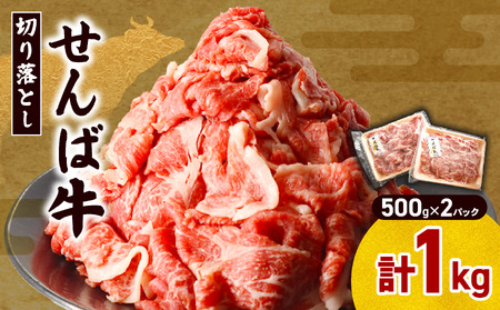 【せんば牛】千葉産 切り落とし 1.0kg 牛肉 精肉 肉 切落し ブランド牛 国産 11000円