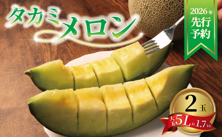 ＜2026年先行受付＞ 飯岡メロン 約3.4kg (約 1.7kg × 2玉) 青肉 【 メロン 】
