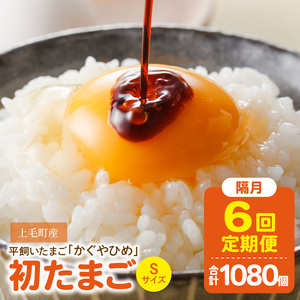 【定期便】かぐやひめ「初たまご」180個　6回（隔月）コース _06T-002
