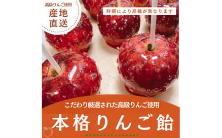 本格 りんご飴 5個 セット 【 りんご 】