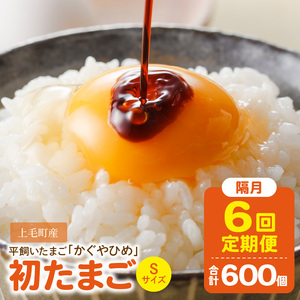 【定期便】かぐやひめ「初たまご」100個　6回（隔月）コース_06T-005