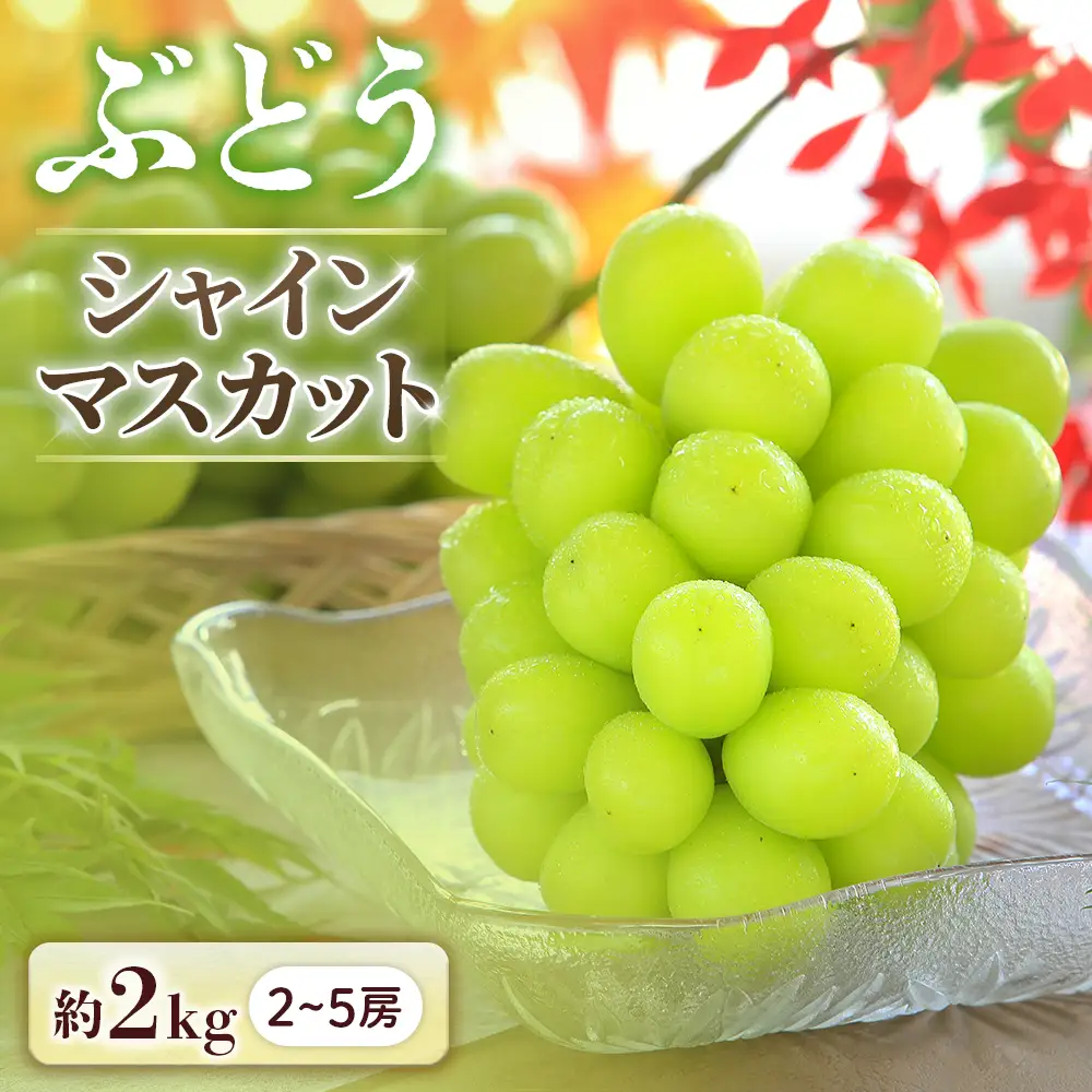 ぶどう シャインマスカット 約2㎏ ぶどう