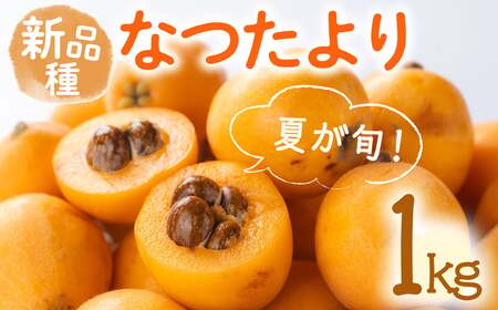 ＜期間限定！2026年5月下旬以降順次発送予定＞なつたより びわ (約1kg) 果物 フルーツ 産地直送 【man066】【Aglio nero】