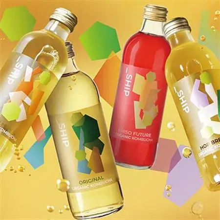 _SHIP KOMBUCHA ASSORT 詰め合わせ(300ml×4種×3本ずつ)【配送不可地域：離島】【1480472】