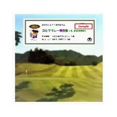 市内ゴルフプレー割引券 2枚_旅行券・チケット ゴルフプレー券 体験チケット _【1391513】
