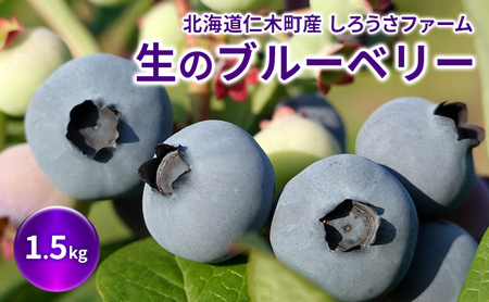 [先行受付] 北海道 仁木町産 有機栽培ブルーベリー 1.5kg（サイズ混合） 果物 くだもの フルーツ 果実 生ブルーベリー 国産 国産ブルーベリー 日本産 [しろうさファーム]