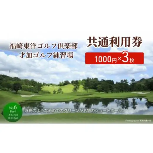 福崎東洋ゴルフ倶楽部・福崎東洋ゴルフ練習場 共通利用券 1000円×3枚
