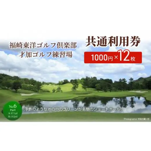 福崎東洋ゴルフ倶楽部・福崎東洋ゴルフ練習場 共通利用券 1000円×12枚