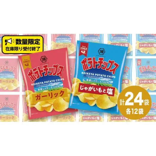 湖池屋 ポテトチップス 2種類アソート （じゃがいもと塩・ガーリック）（各12袋・計24袋）