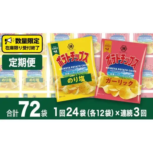 【 湖池屋 3ヶ月 定期便 】湖池屋 ポテトチップス 2種類アソート （のり塩・ガーリック）（各12袋・計24袋 ×３回）
