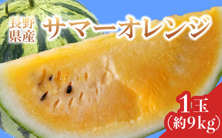 3201 長野県山形村産 すいか「サマーオレンジ」 1玉（9kg前後）