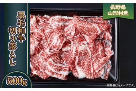 黒毛和牛 切落し 500g 長野県産 3605