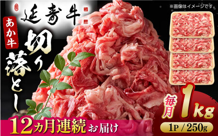 【12回定期便】熊本県産 延寿牛 あか牛 切り落とし 約 250g×4P【有限会社 九州食肉産業】[ZDQ137]