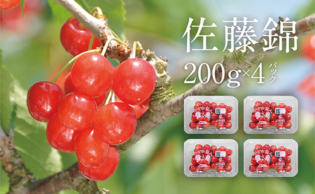 さくらんぼ 佐藤錦 秀品 L 800g 200g×4 パック【6月中旬～6月下旬発送】農家直送 山形県 朝日町産 農産物 フルーツ 山形産 バラ詰め サクランボ 高級 果物 初夏