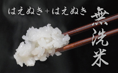 無洗米 はえぬき 令和7年産 10kg（5kg×2袋） 2025年産 山形県 朝日町産 精米 米 こめ コメ
