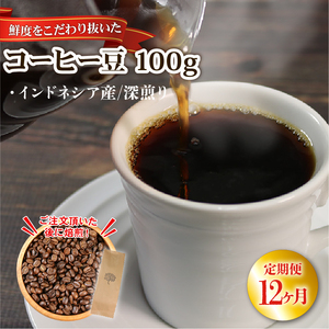 12ヶ月 定期便 コーヒー 豆 100g インドネシア 深煎り 自家焙煎 コーヒー豆 注文焙煎 ストレートコーヒー アイスコーヒー coffee エスプレッソ カフェオレ 朝食 岩手県 大船渡市
