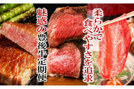 大人2名に最適!柔らかさっぱり豊後牛定期便/計3回発送 _1224R