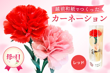 【母の日限定】母の日ギフト 越前和紙カーネーション 永遠の感謝  プレゼント  [e51-a004_01]【カラー赤】