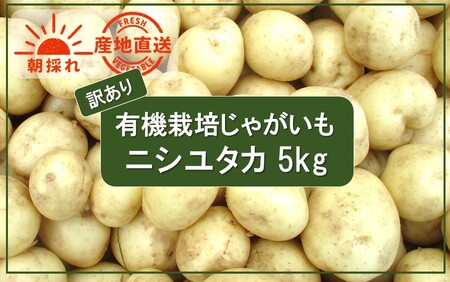 【先行予約】【訳あり】朝収穫してその日に発送！有機栽培じゃがいも5kg（品種：ニシユタカ）_2355R