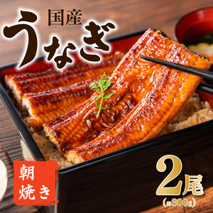 うなぎ 国産 蒲焼 2人前 | うなぎ 夜明茶屋