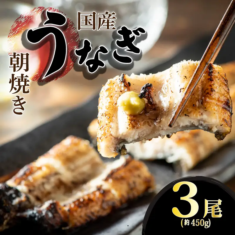 うなぎ 国産 蒲焼 3尾 | うなぎ