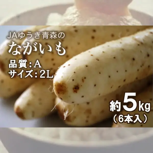 青森県特産ながいも　A2L（6本入）約5kg　【02408-0036】