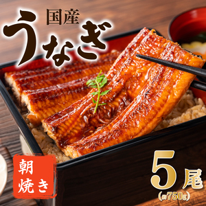 うなぎ 国産 蒲焼 5尾 | うなぎ