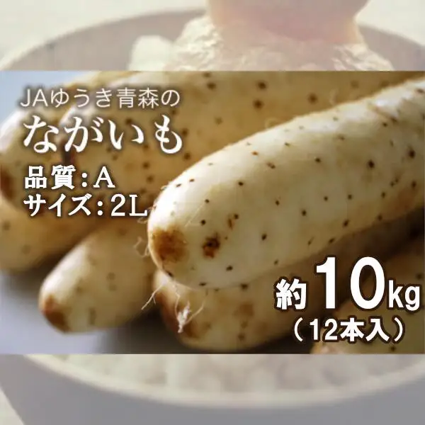 青森県特産ながいも　A2L（12本入）約10kg　【02408-0038】
