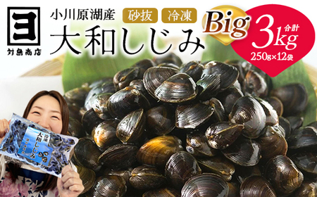 砂抜き済みで手間いらず！冷凍・小川原湖産大和しじみ BIG 3kg（250g×12袋）【02408-0075】